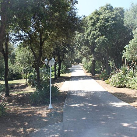 Residence Helios Cargèse Dış mekan fotoğraf