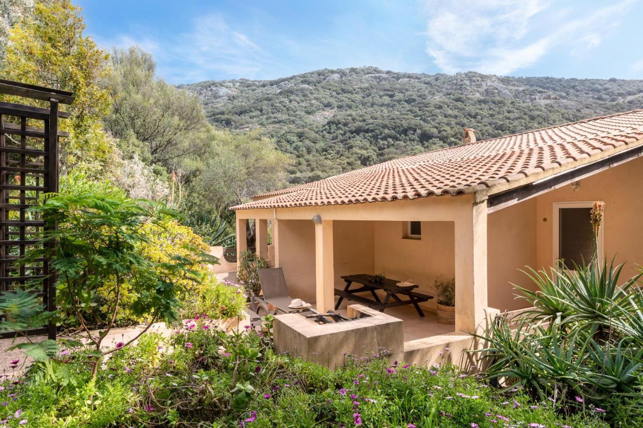 Residence Helios Cargèse Dış mekan fotoğraf