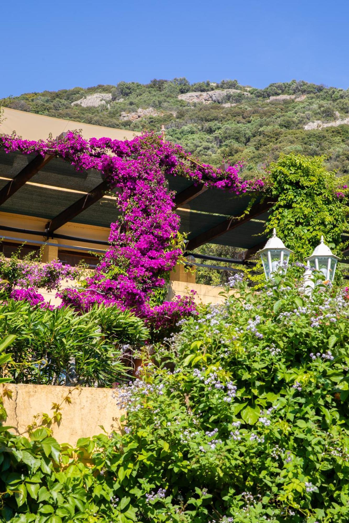 Residence Helios Cargèse Dış mekan fotoğraf